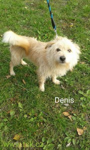 denis.jpg